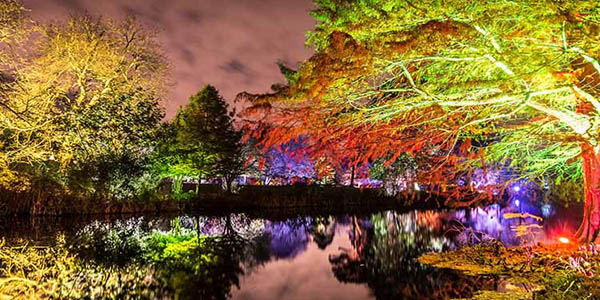 Syon Park night colours