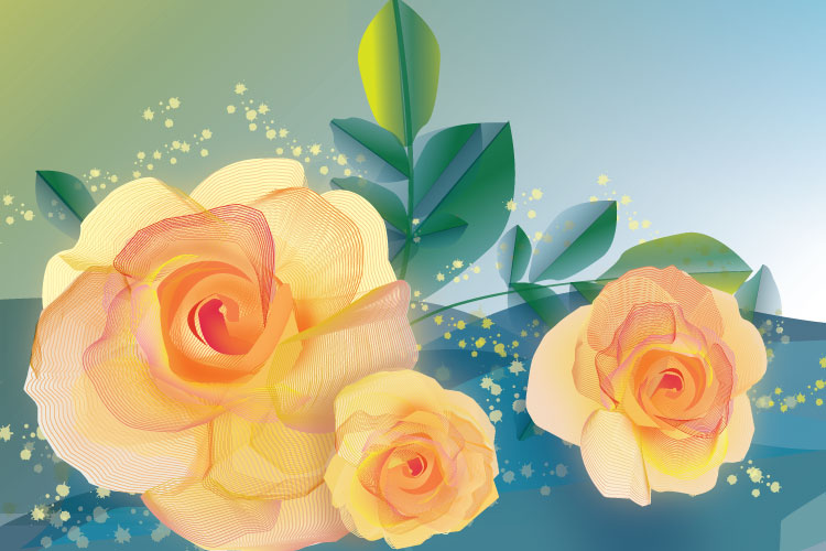 Roses vector illustration